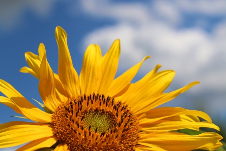 2020 11 05-07 - Still Gallery, Edinburgh