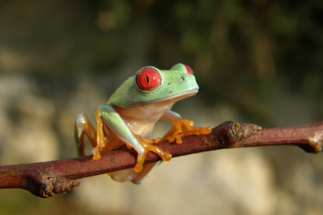 2020 01 17-19 - Laurent Gallery, Melbourne, Australia