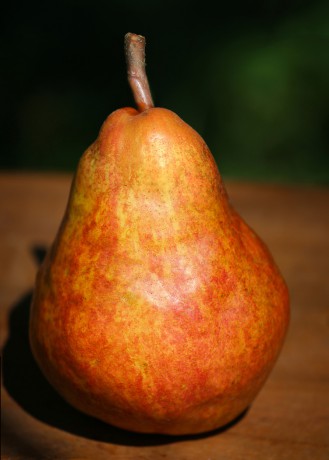 2020 01 31 - 02 02 - BBA Gallery, Berlin, Deutschland