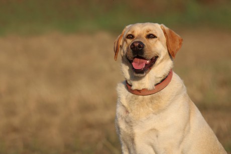2020 04 09-11 - Laurent Gallery, Melbourne, Australia