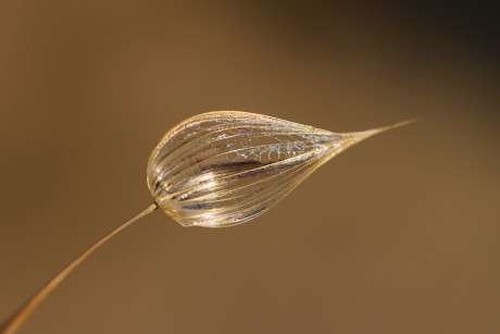 2020 10 22-25 - Almanaque fotográfica, Mexico City