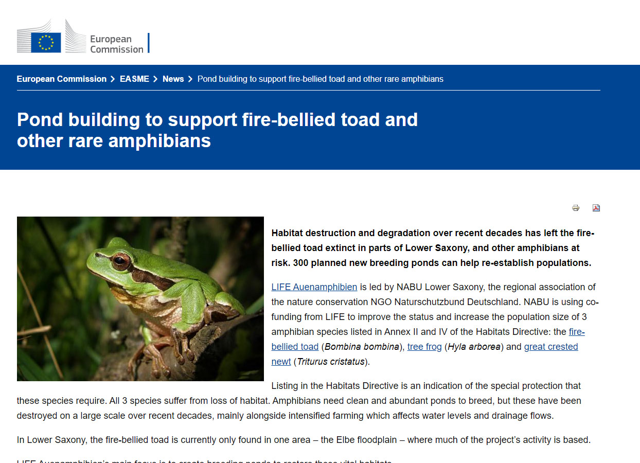 Pond building to support fire-bellied toad and other rare amphibians
